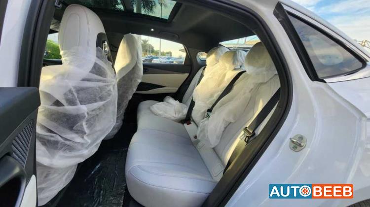 بي واي دي سيل 2024