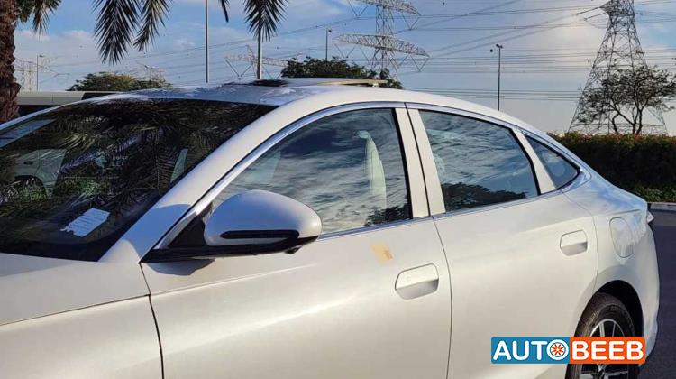 بي واي دي سيل 2024