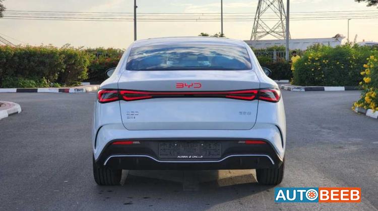 بي واي دي سيل 2024