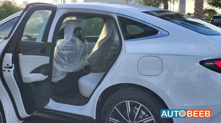 بي واي دي سيل 2024