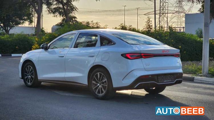 بي واي دي سيل 2024