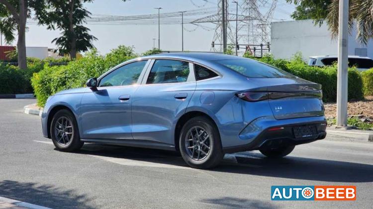 بي واي دي سيل 2024