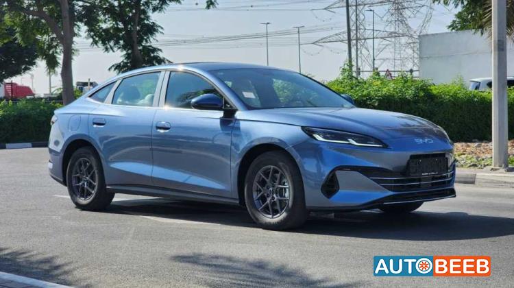 بي واي دي سيل 2024