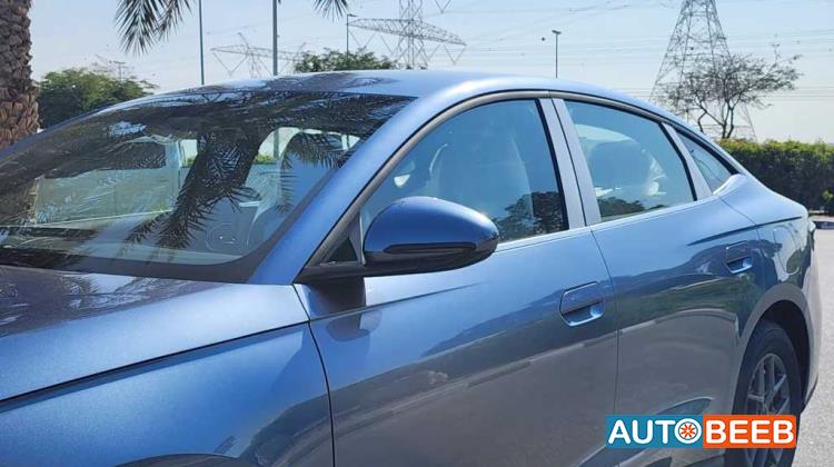 بي واي دي سيل 2024