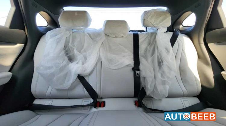 بي واي دي سيل 2024