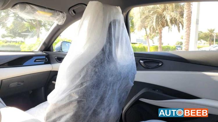 بي واي دي سيل 2024