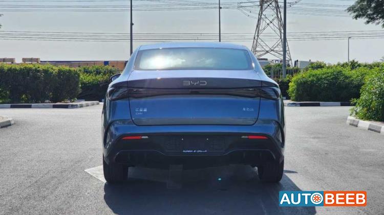 بي واي دي سيل 2024