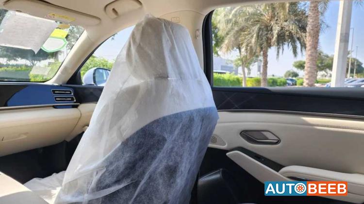 بي واي دي كين 2024