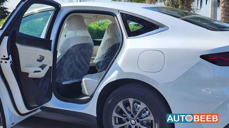 بي واي دي كين 2024