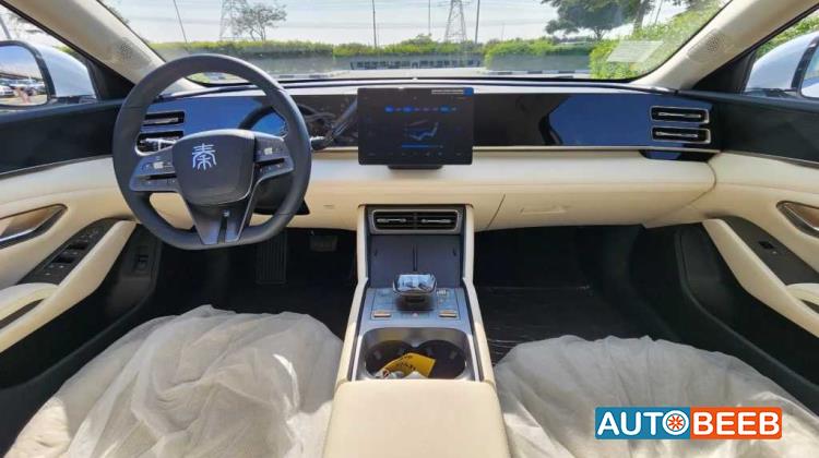 بي واي دي كين 2024