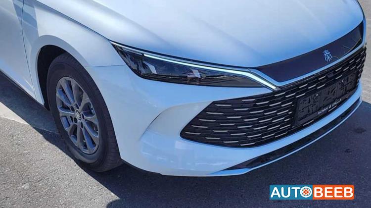 بي واي دي كين 2024