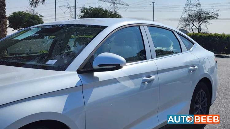 بي واي دي كين 2024