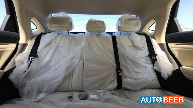 بي واي دي كين 2024