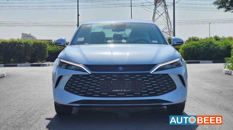 بي واي دي كين 2024