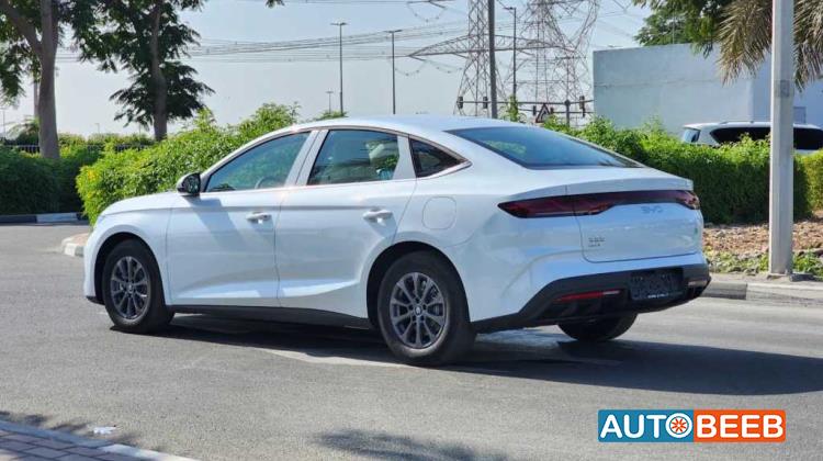 بي واي دي كين 2024