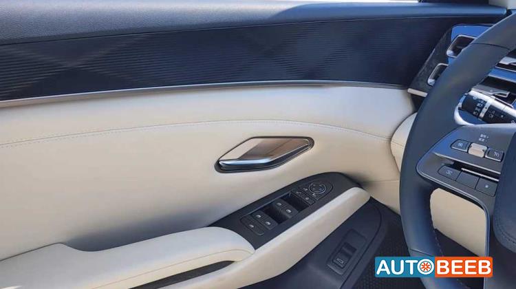 بي واي دي كين 2024