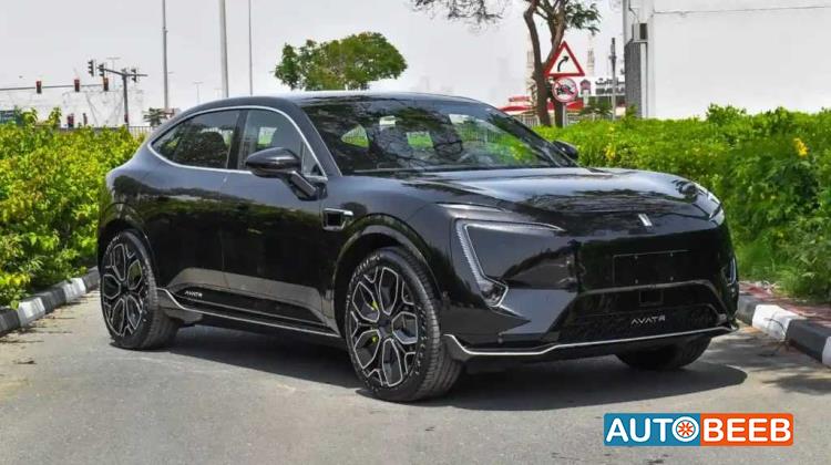 Avatr Model 011 2024