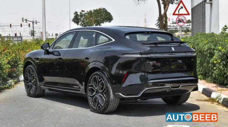 Avatr Model 011 2024