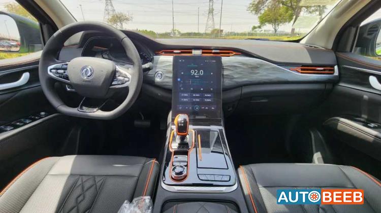 Dongfeng Rich 7 2024