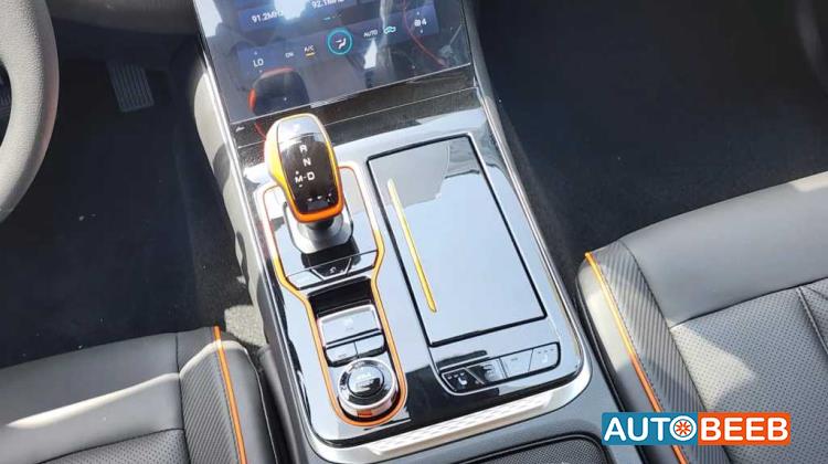 Dongfeng Rich 7 2024