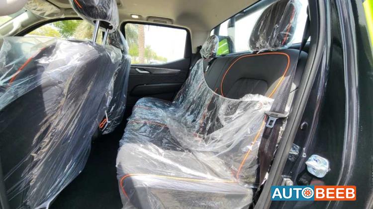 Dongfeng Rich 7 2024