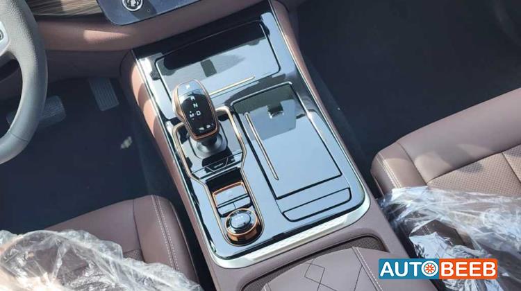 Dongfeng Rich 7 2024