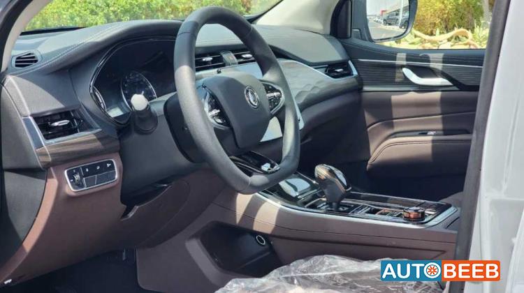 Dongfeng Rich 7 2024