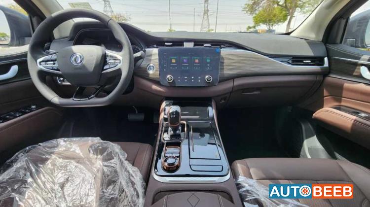 Dongfeng Rich 7 2024