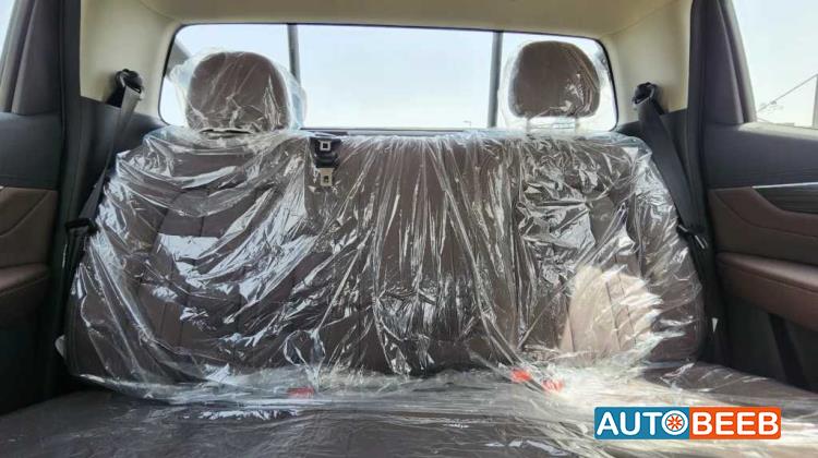 Dongfeng Rich 7 2024