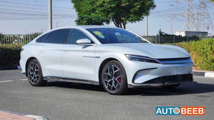 بي واي دي هان 2024