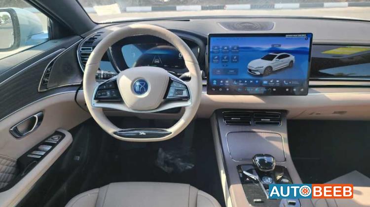 بي واي دي هان 2024