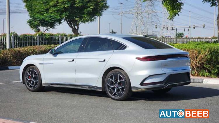 بي واي دي هان 2024