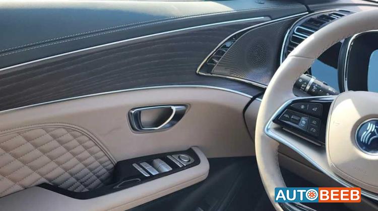 بي واي دي هان 2024