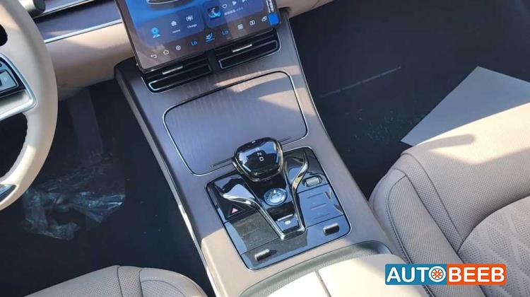 بي واي دي هان 2024