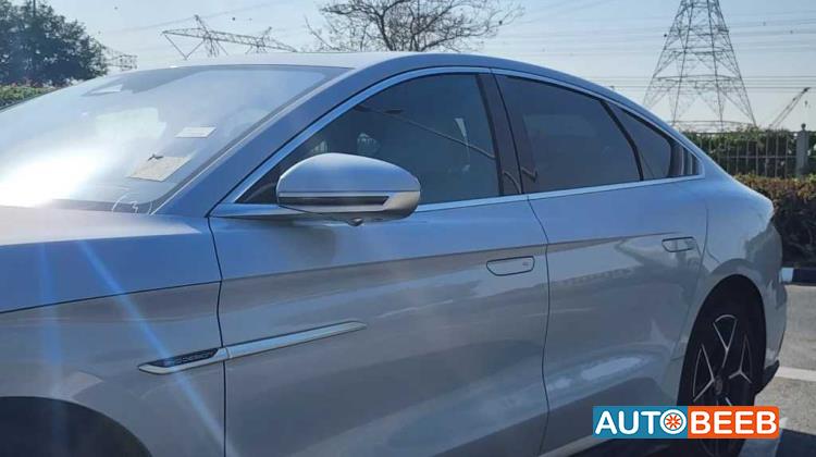 بي واي دي هان 2024