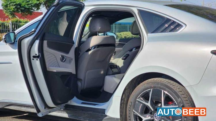 بي واي دي هان 2024