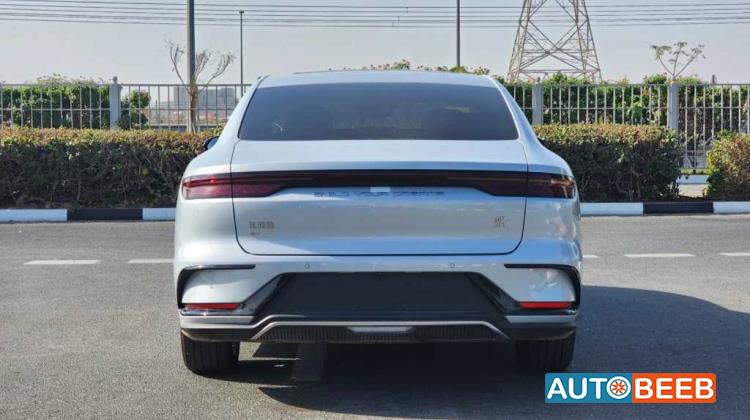 بي واي دي هان 2024