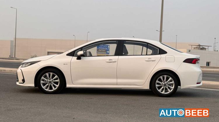 تويوتا كورولا 2025