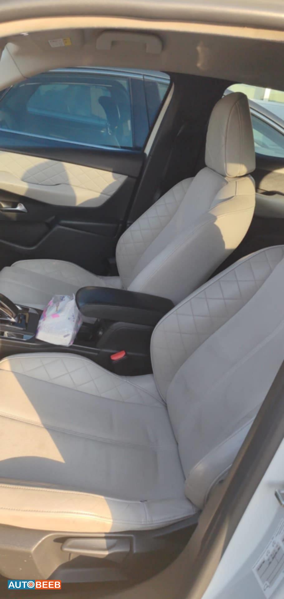 سيتروين دي اس 3 2020