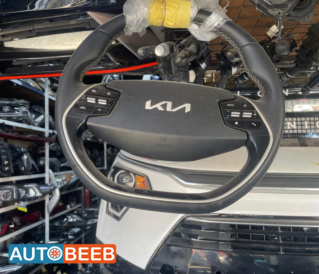 Cabin  Steering Wheel KIA EV6