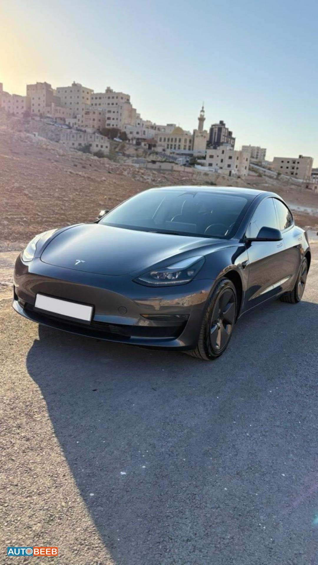 تيسلا 3 2023
