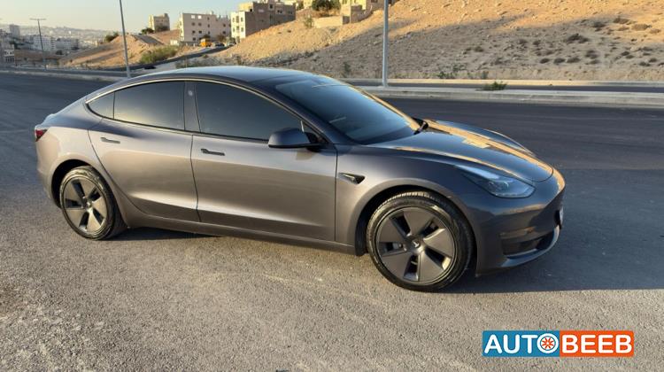 تيسلا 3 2023