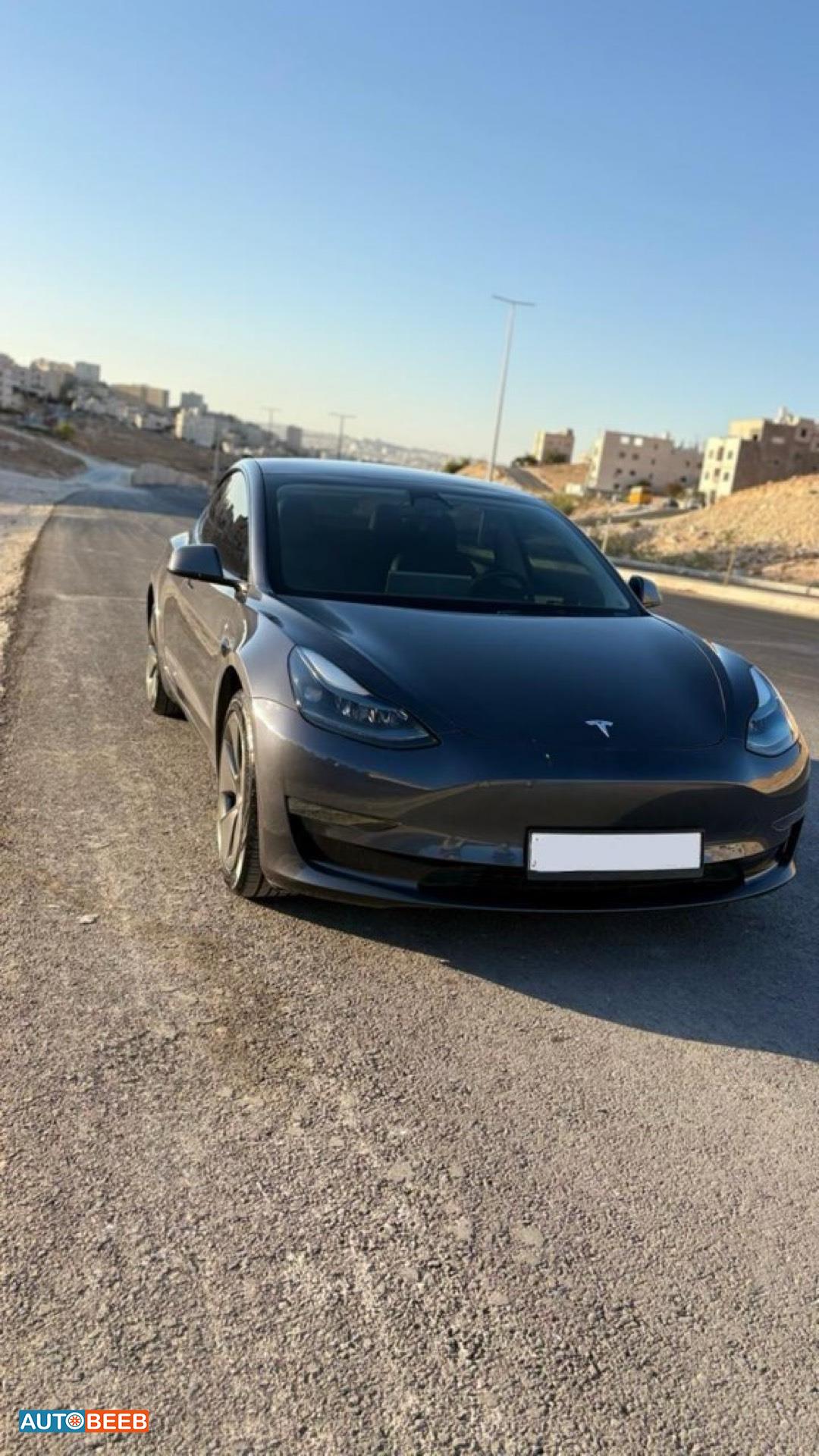 تيسلا 3 2023