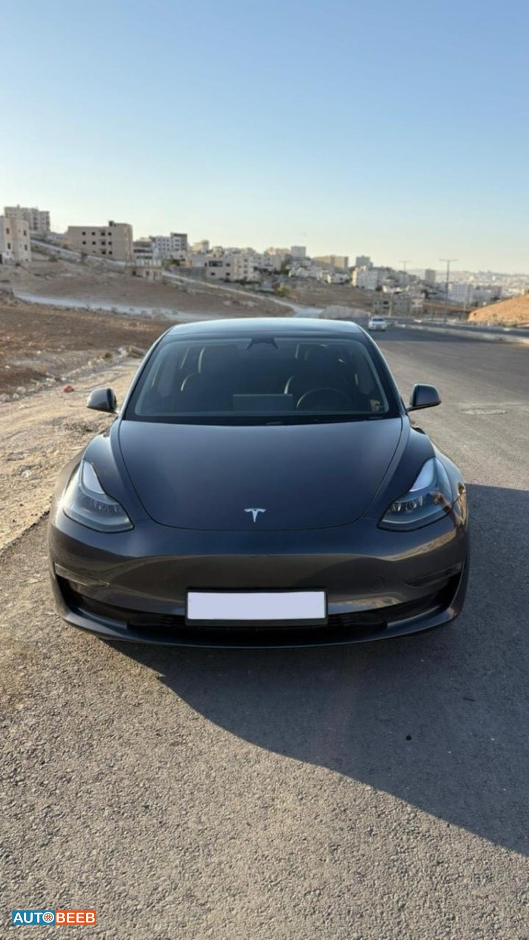 تيسلا 3 2023