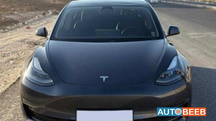 تيسلا 3 2023
