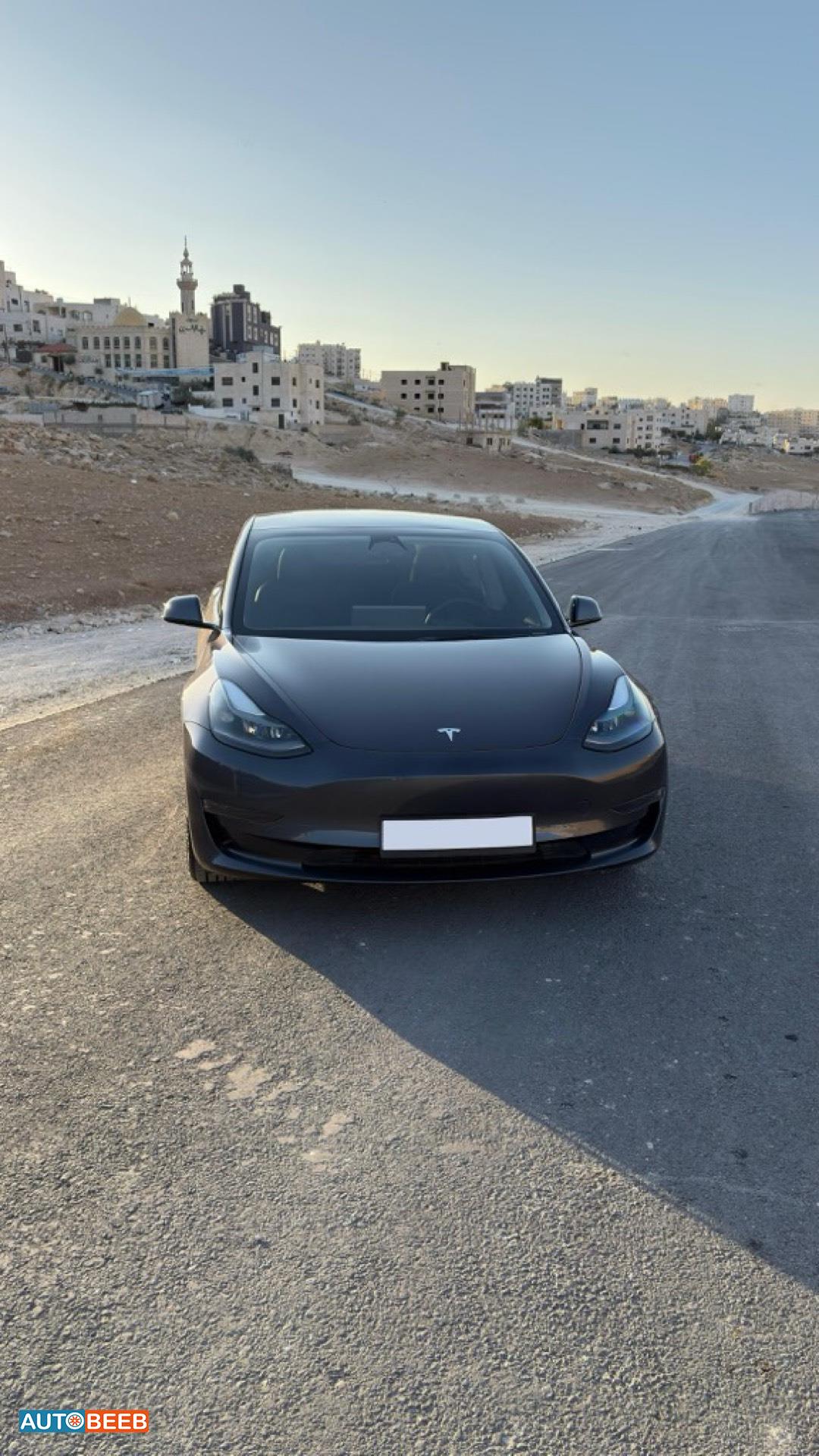 تيسلا 3 2023