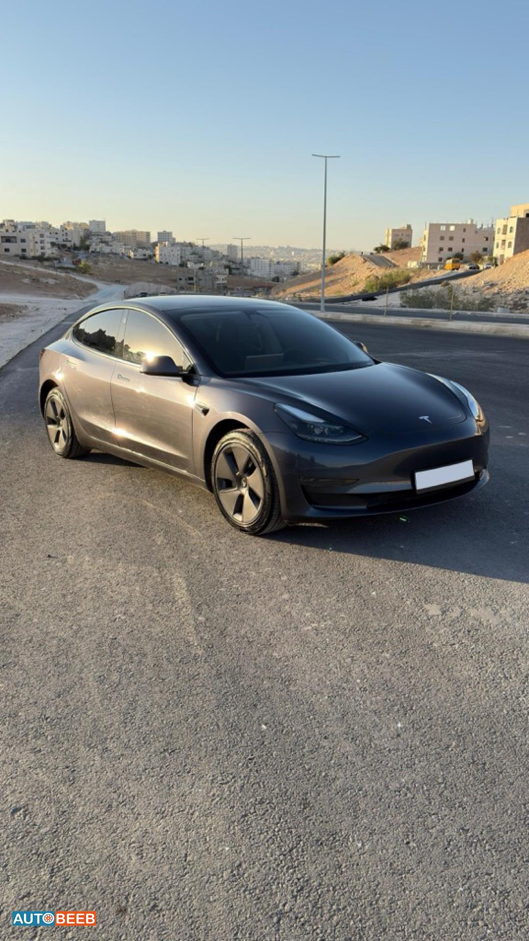 تيسلا 3 2023