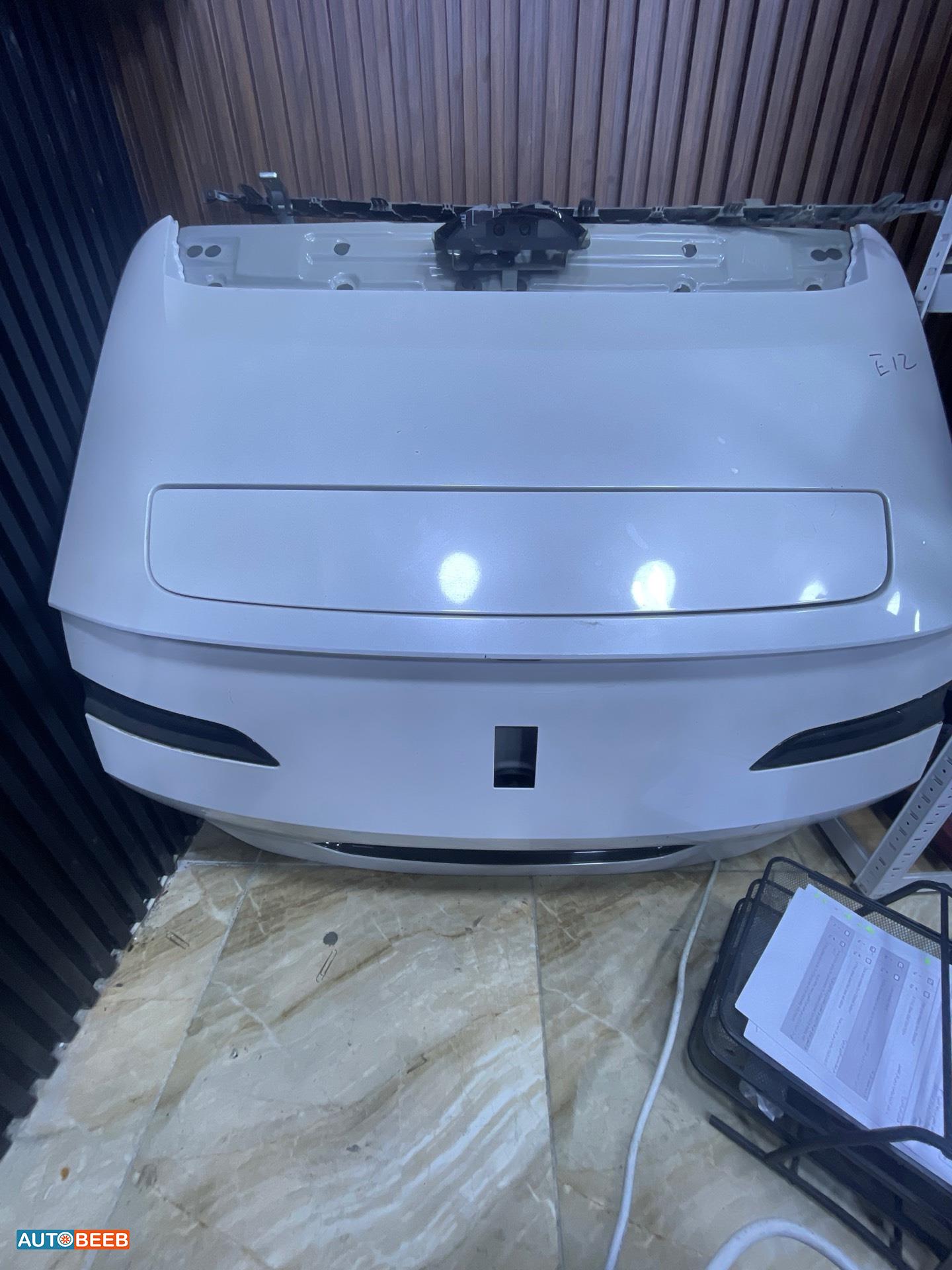 Body  Trunk Avatr Model 12