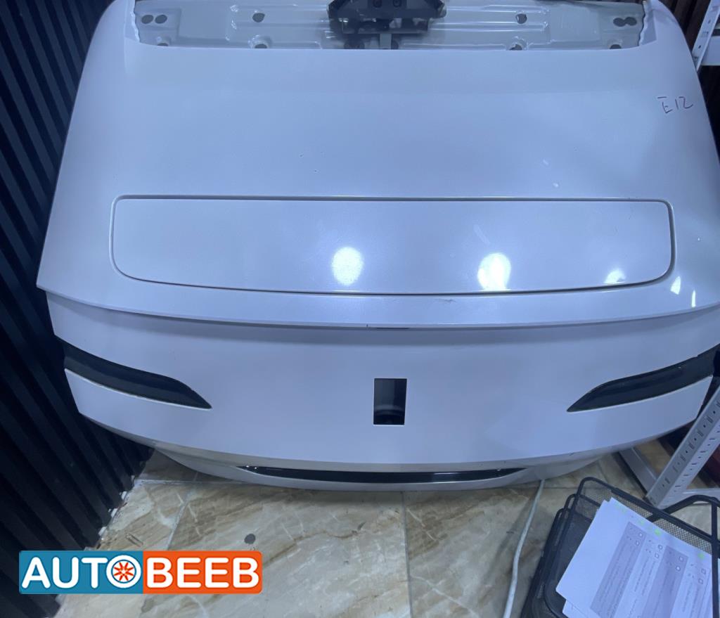 Body  Trunk Avatr Model 12