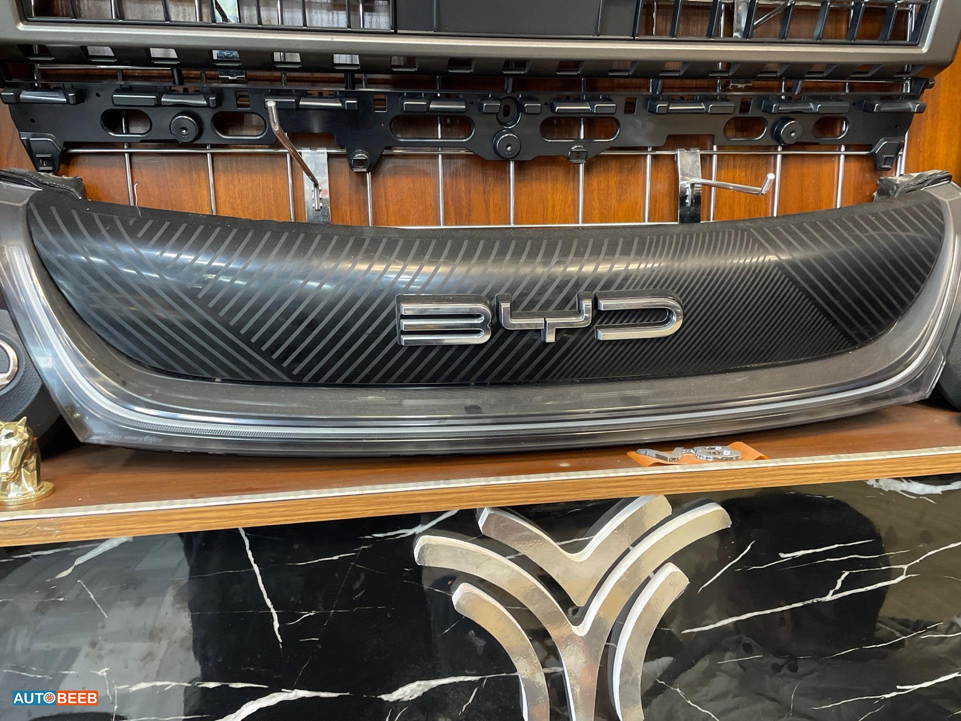 Body  Grilles BYD Dolphin